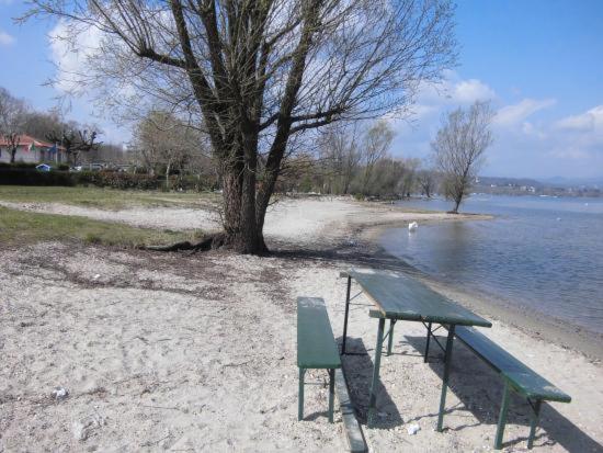 Lake Maggiore 2 Minutes Apartment Dormelletto Extérieur photo