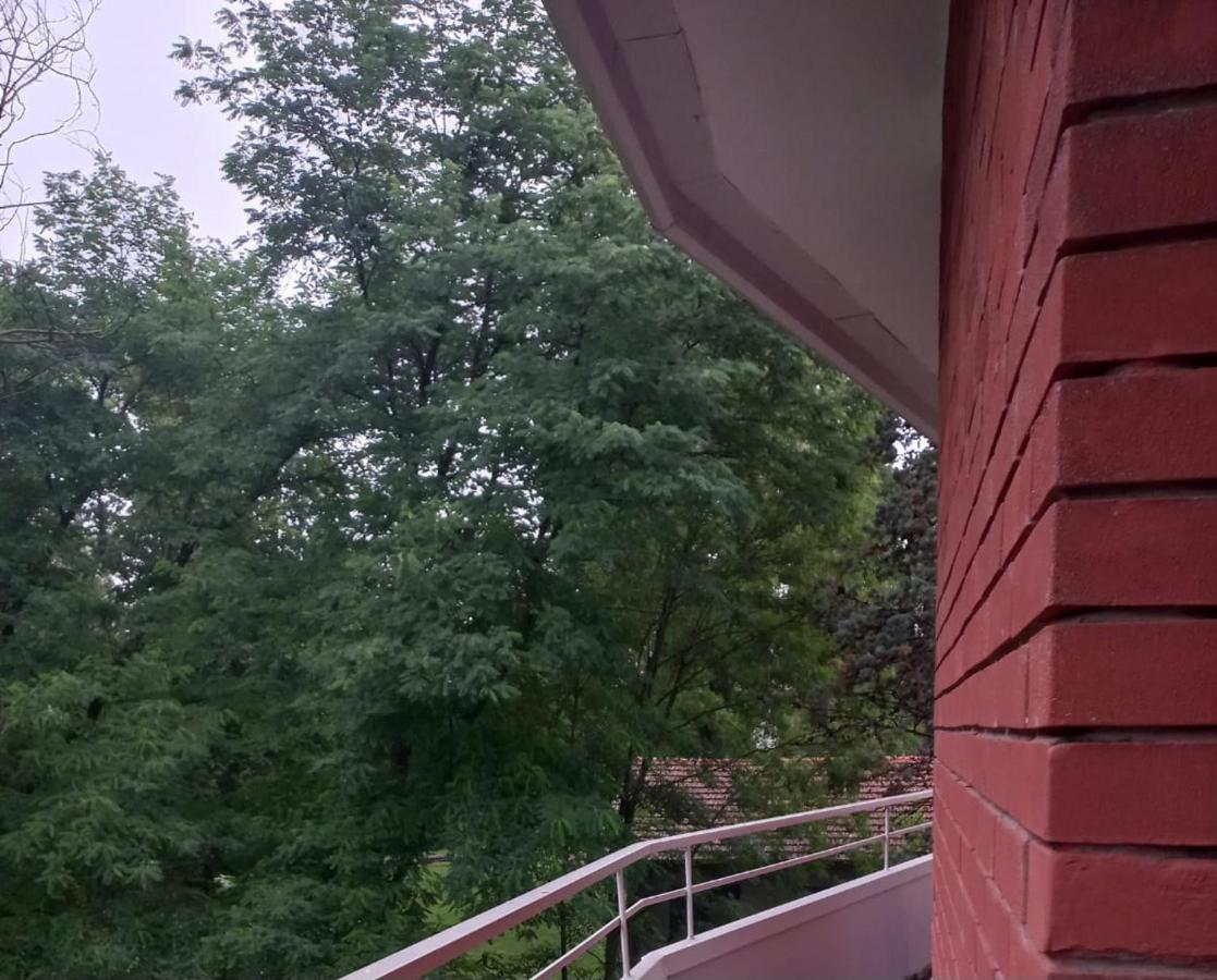 Lake Maggiore 2 Minutes Apartment Dormelletto Extérieur photo